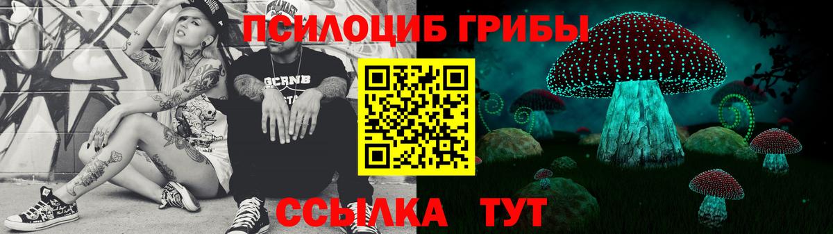 Галлюциногенные грибы GOLDEN TEACHER  Псилоцибиновые грибы Psilocybe  Мценск  Вход с VPN 